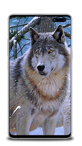 Image 3 for Wolf Wallpaper