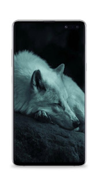 Image 1 for Wolf Wallpaper