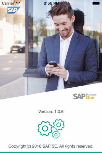 Image 0 for SAP Business One Sales