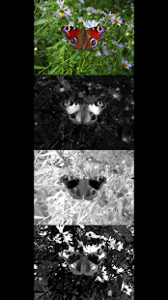 Imagen 0 para RGBCam  free version of S…