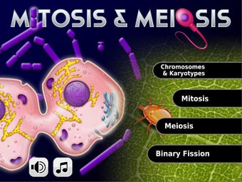 Image 1 for FCS - Mitosis & Meiosis