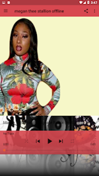 Image 1 for megan thee stallion - sav…