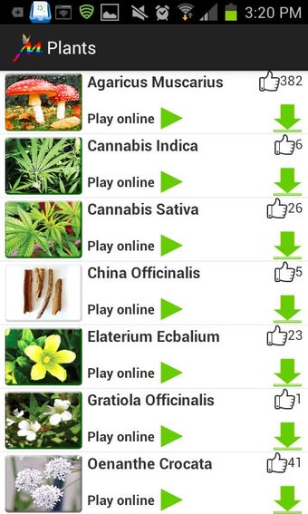 Imagen 0 para MMLive