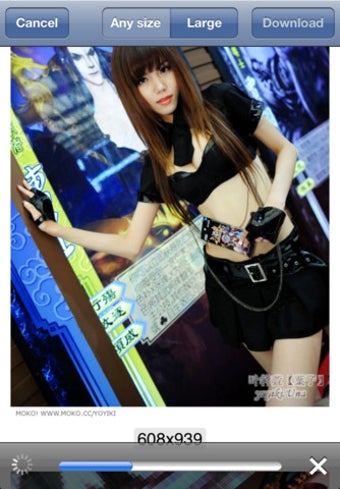 Image 2 for Image Downloader - Downlo…