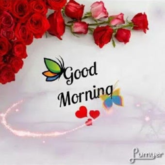 Image 0 for Good Morning Gif