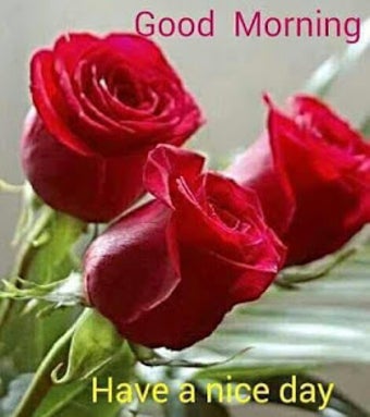 Image 3 for Good Morning Gif