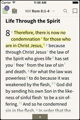 Image 0 for NIV Bible - by Olive Tree