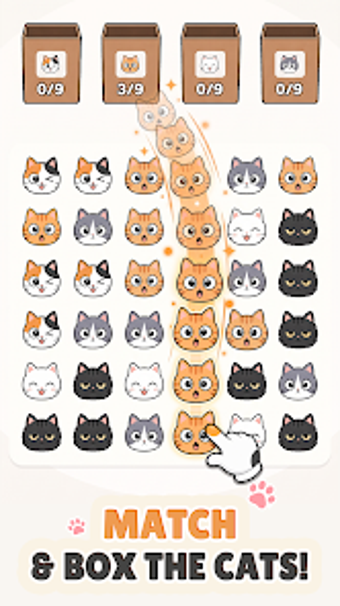 Image 0 for CatBox