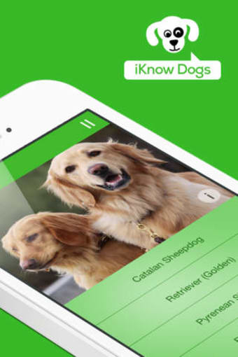 Image 0 for iKnow Dogs Quiz