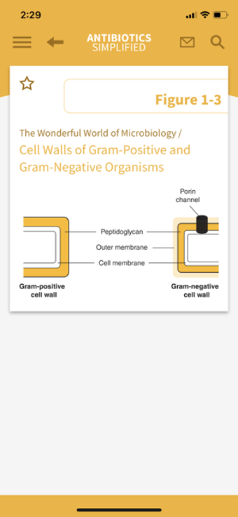 Image 1 for Antibiotics Simplified
