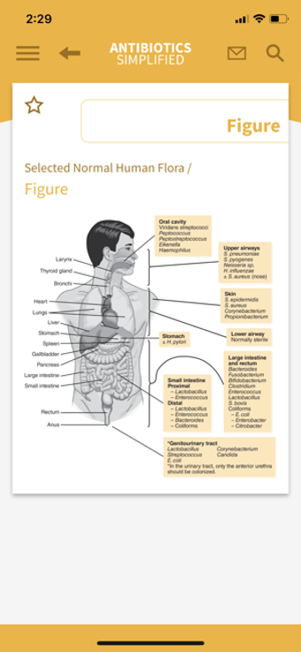 Image 2 for Antibiotics Simplified