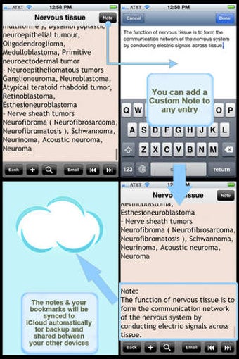 Image 0 for Human Body Encyclopedia P…