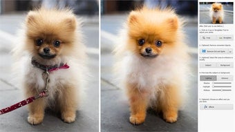 Image 0 for Adobe Photoshop Elements …