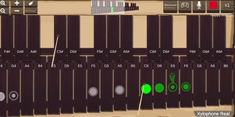 Imagen 0 para Xylophone Real