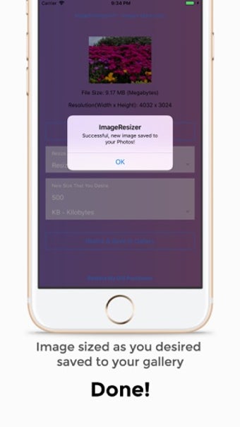 Image 3 for Image Resizer: Reduce & R…