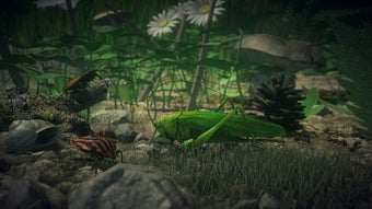 Imagen 0 para Insect Worlds
