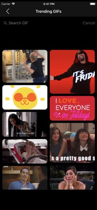 Image 1 for ActionDirector GIF Editor