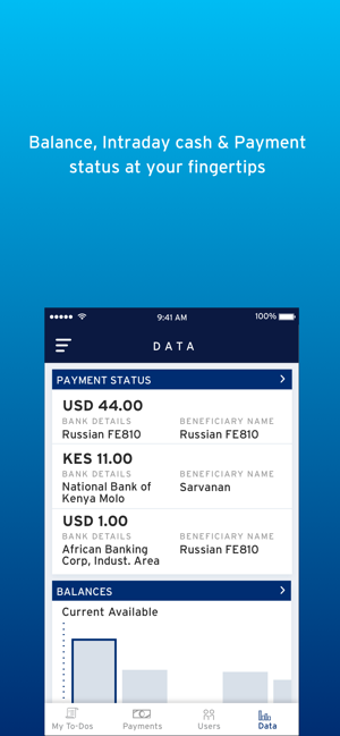 Image 1 for CitiDirect BE