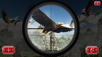 Imagen 1 para Flying Bird Hunting Snipe…