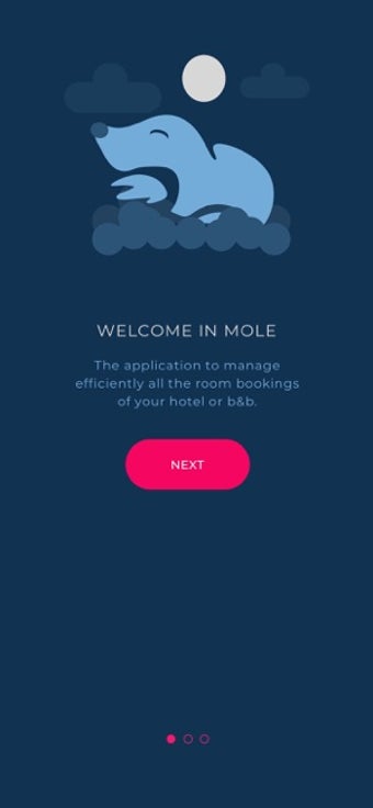 Image 0 for MOLE - hotel B&B manager