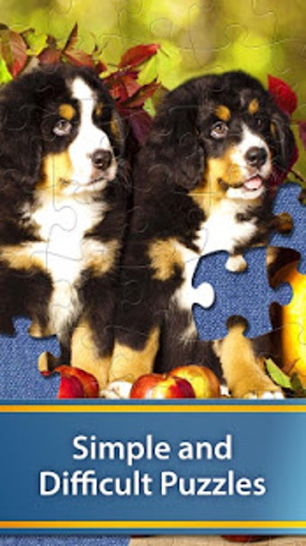 Imagen 2 para Jigsaw Puzzle Club