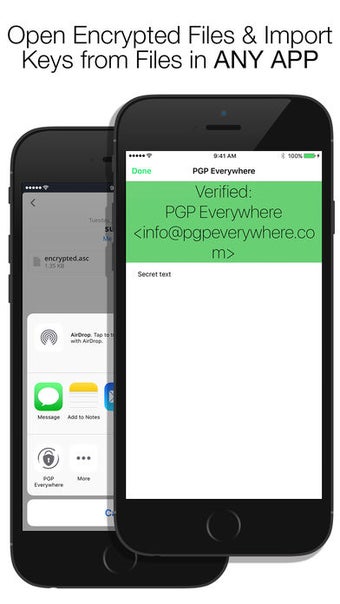 Image 0 for PGP Everywhere - Encrypti…