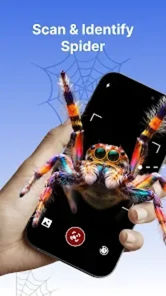 Imagen 0 para Spider Identifier: AI Sca…