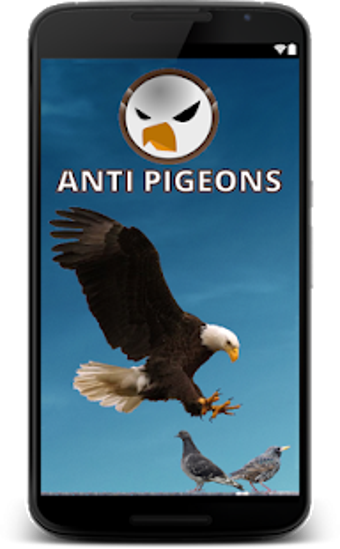 Image 0 for Anti PIGEONS