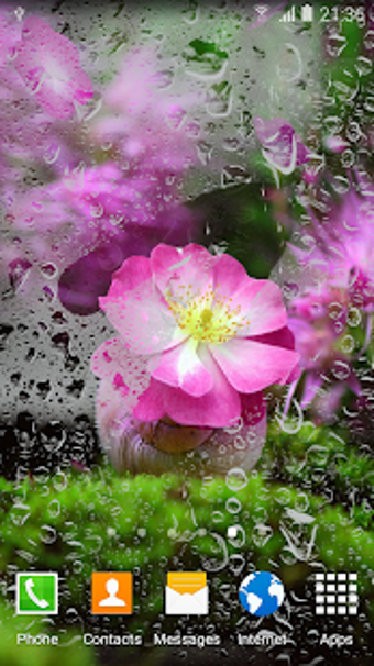 Imagen 0 para Cherry Blossom Live Wallp…