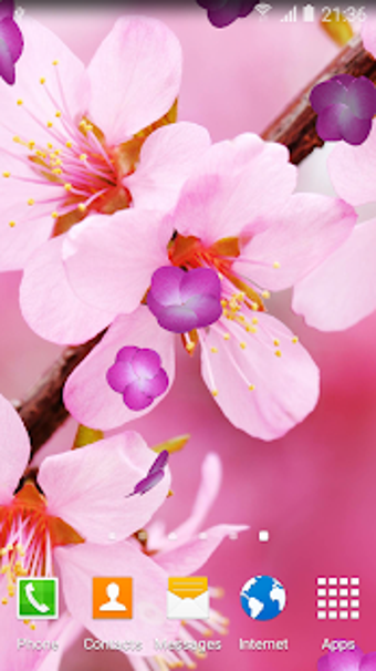 Imagen 2 para Cherry Blossom Live Wallp…