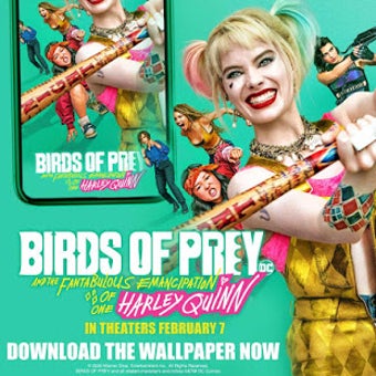 Imagen 1 para Birds of Prey Theme & Liv…