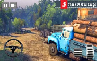 Image 0 for Cargo Truck Driver - Truc…