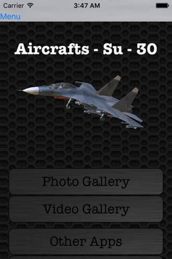 Image 0 for Sukhoi Su-30 Russian Figh…
