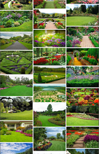 Image 1 for Image Search (Image Downl…