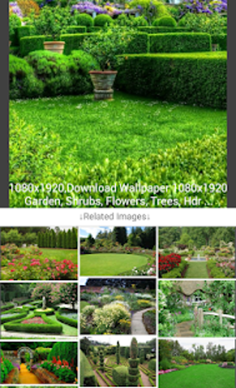 Image 3 for Image Search (Image Downl…