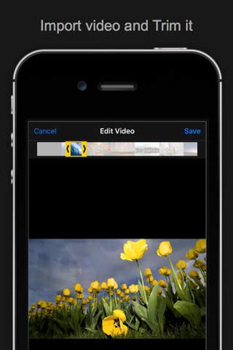 Image 0 for Live Mix - edit & mix you…