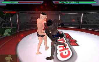 Image 1 for MMA vs Wrestling