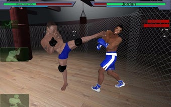 Image 0 for MMA vs Wrestling