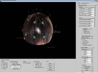 Image 1 for Neural activity simulator