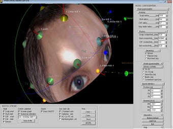 Image 2 for Neural activity simulator