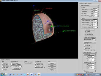 Image 0 for Neural activity simulator