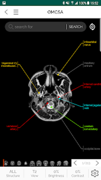 Image 2 for OMCSA