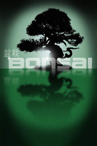 Image 0 for The BONSAI World