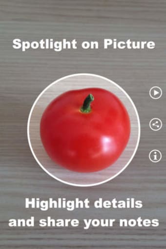 Image 0 for Spotlight on Picture - hi…