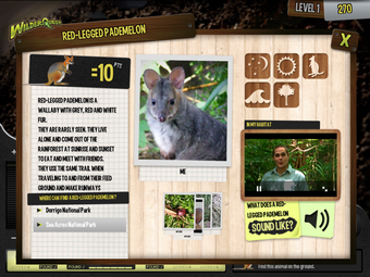 Image 1 for WilderQuest  Nature Disco…