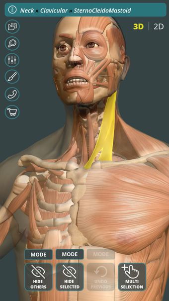 Imagen 3 para Visual Anatomy 3D | Human