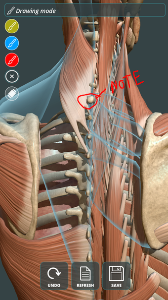 Imagen 1 para Visual Anatomy 3D | Human
