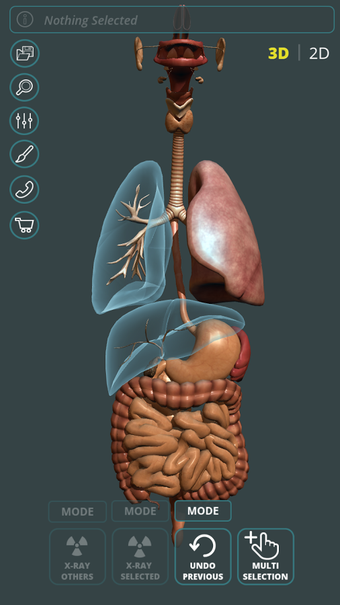 Imagen 0 para Visual Anatomy 3D | Human