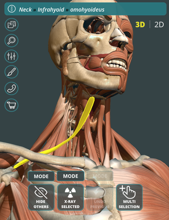 Imagen 2 para Visual Anatomy 3D | Human