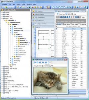 Image 0 for AnySQL Maestro Profession…